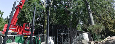 Der baum braun im Einsatz, im Heidelberger Zoo