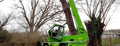 Der Merlo-Fällkran von der baum braun