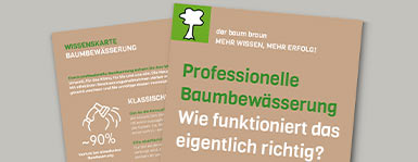 Professionelle Bewässerung für junge Bäume - der baum braun