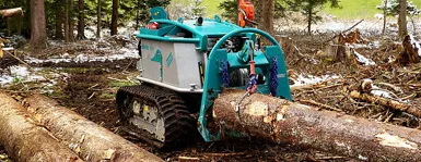 Der Baum Braun ist PQ-zertifiziert